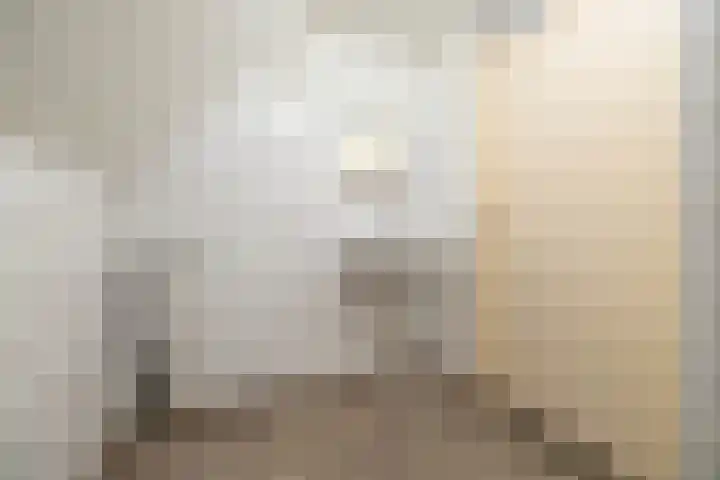 Laarstraat 46 Goor thumbnail 7