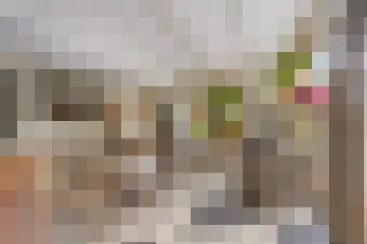 Laarstraat 67 Emst thumbnail 13