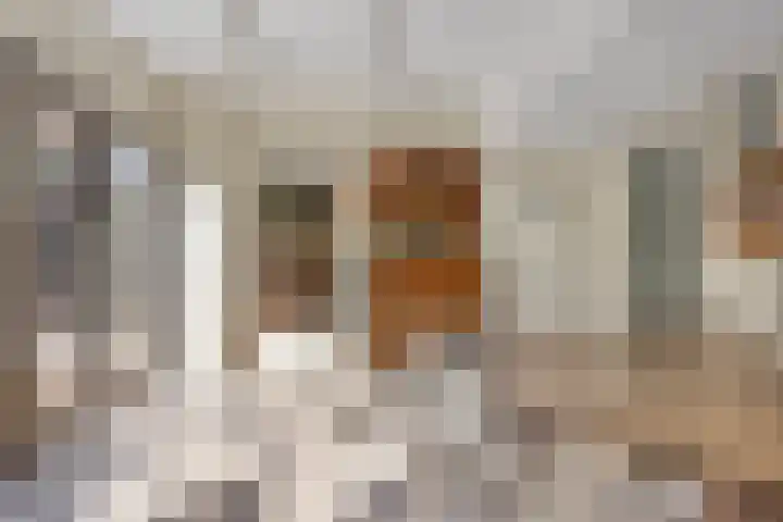 Laarstraat 67 Emst thumbnail 15