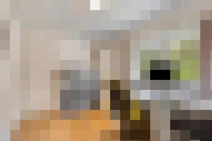 Laarstraat 67 Emst thumbnail 22