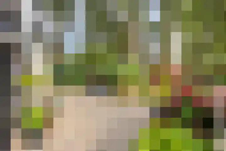 Laarstraat 67 Emst thumbnail 27