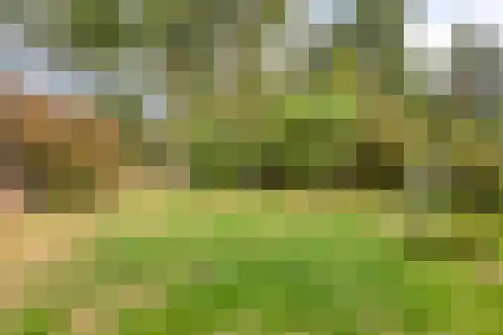 Laarstraat 67 Emst thumbnail 32