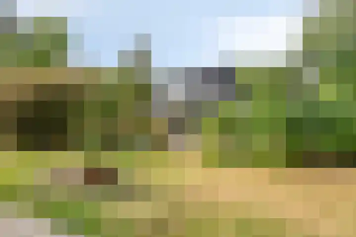 Laarstraat 67 Emst thumbnail 33
