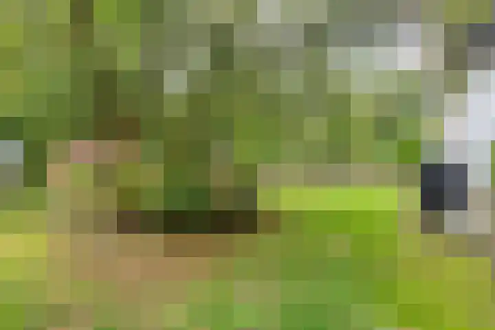 Laarstraat 67 Emst thumbnail 34