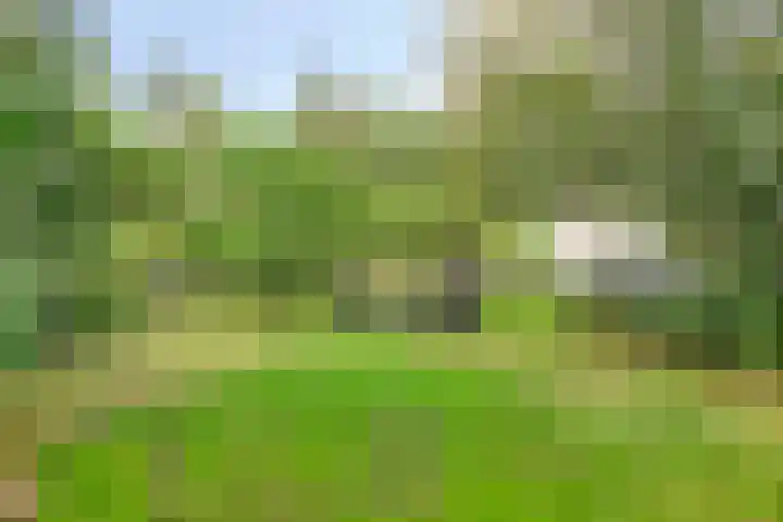 Laarstraat 67 Emst thumbnail 37