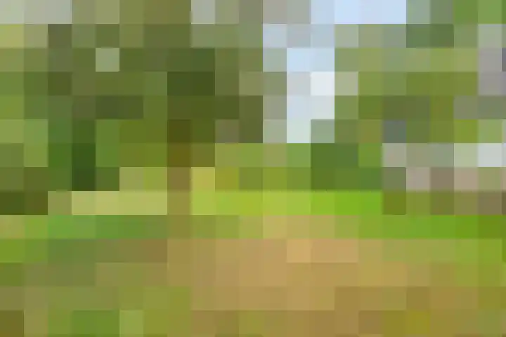 Laarstraat 67 Emst thumbnail 38