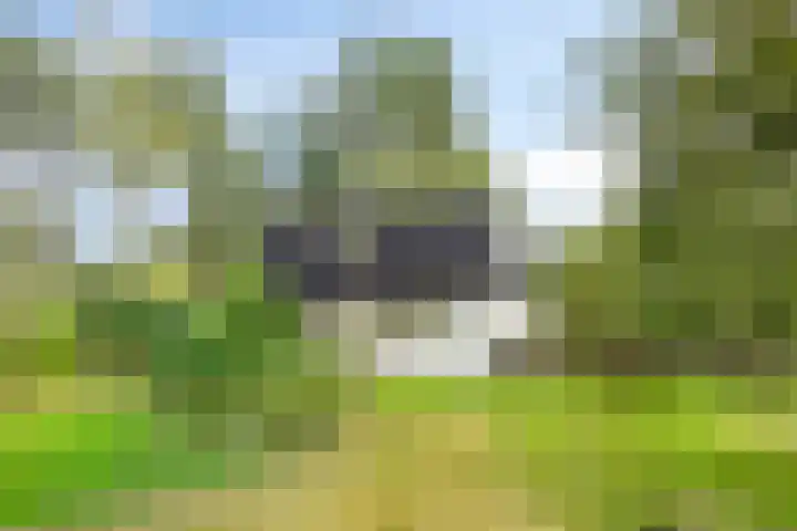 Laarstraat 67 Emst thumbnail 4
