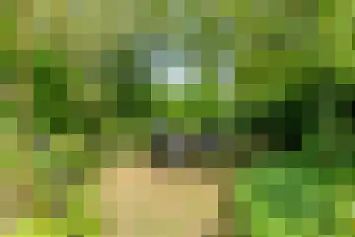 Laarstraat 67 Emst thumbnail 44