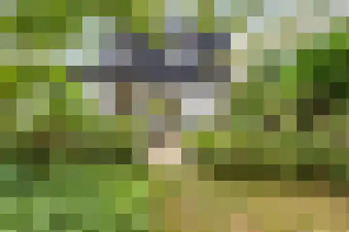Laarstraat 67 Emst thumbnail 46