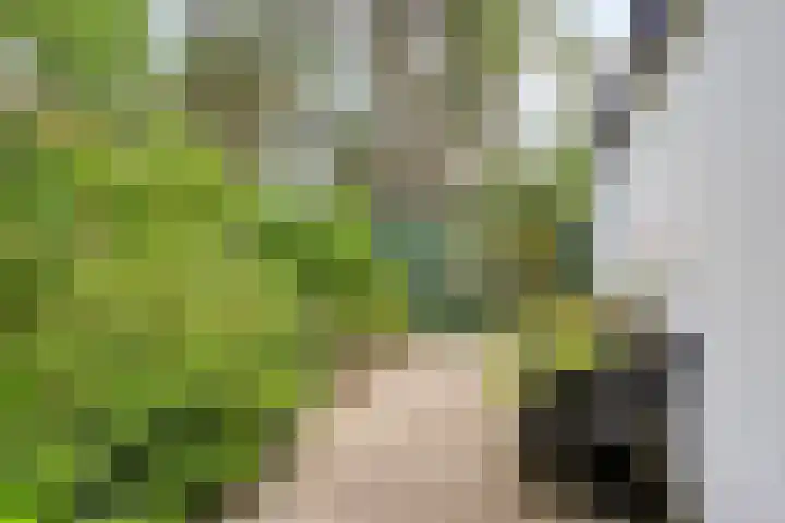 Laarstraat 67 Emst thumbnail 47