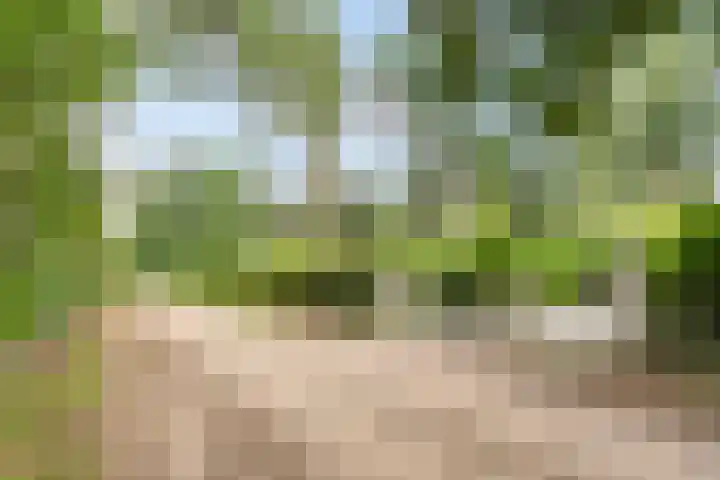 Laarstraat 67 Emst thumbnail 49