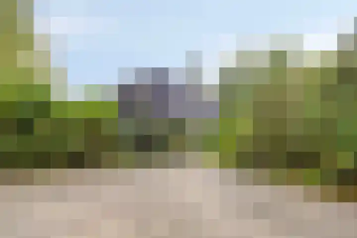 Laarstraat 67 Emst thumbnail 5