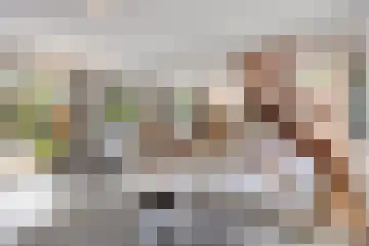 Laarstraat 67 Emst thumbnail 7