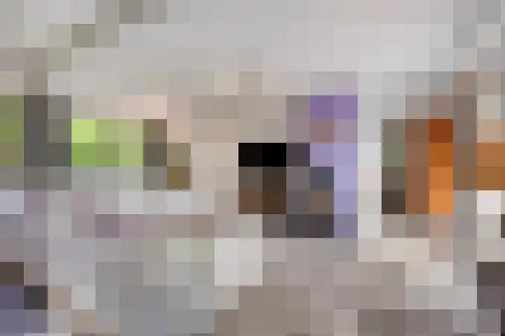 Laarstraat 67 Emst thumbnail 8