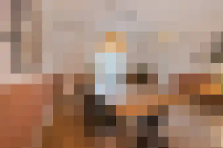 Laarveld 9 Gemert thumbnail 15