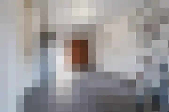 Laarveld 9 Gemert thumbnail 27