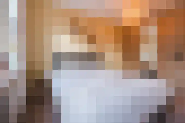 Laarveld 9 Gemert thumbnail 31