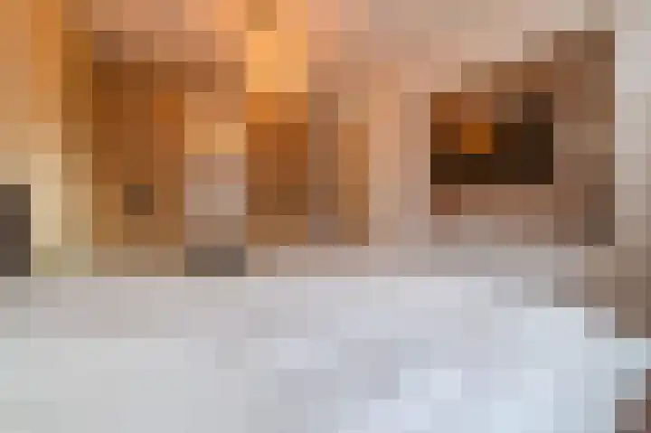 Laarveld 9 Gemert thumbnail 32