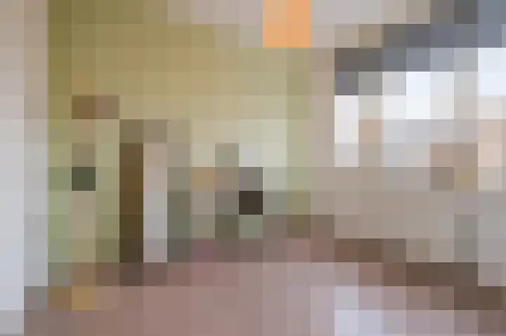 Laarveld 9 Gemert thumbnail 33