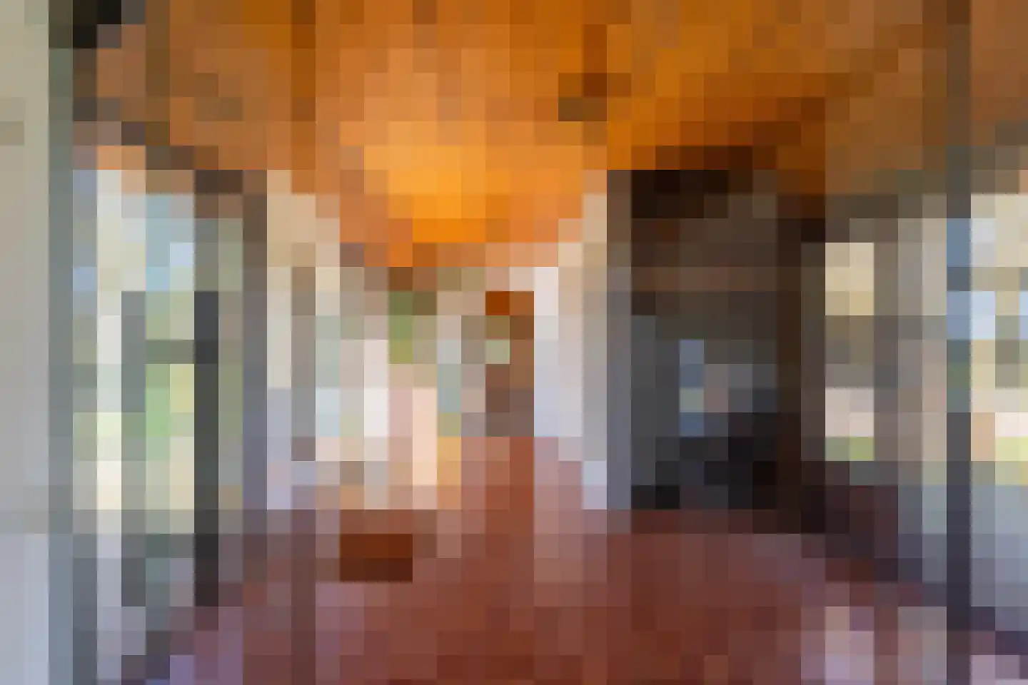 Laarveld 9 Gemert thumbnail 35