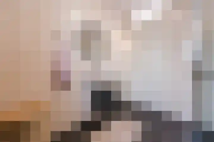 Laarveld 9 Gemert thumbnail 39