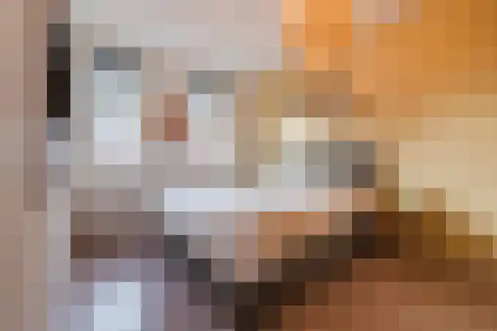 Laarveld 9 Gemert thumbnail 5