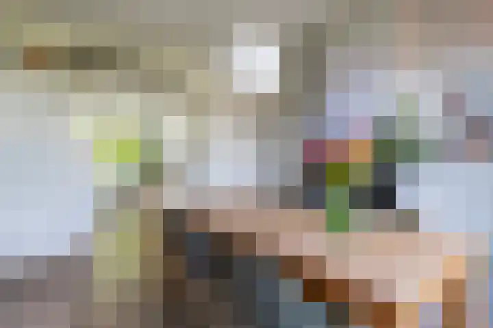 Laarweg 41 Velp thumbnail 11