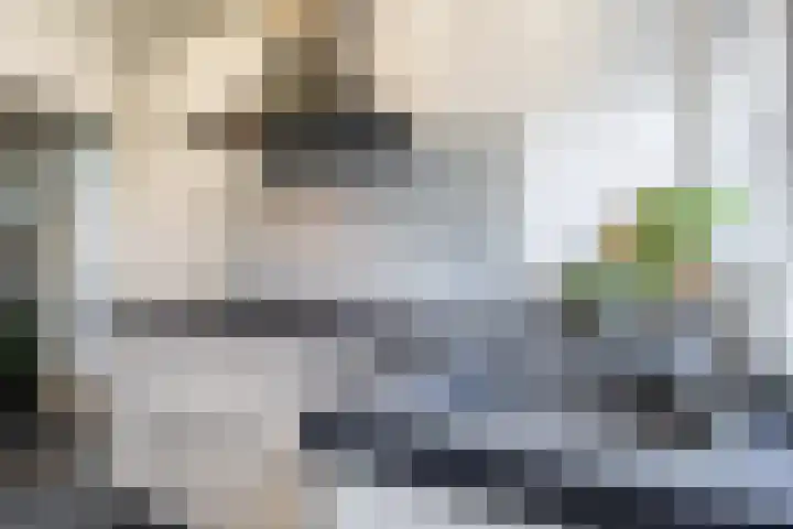 Laarweg 41 Velp thumbnail 16