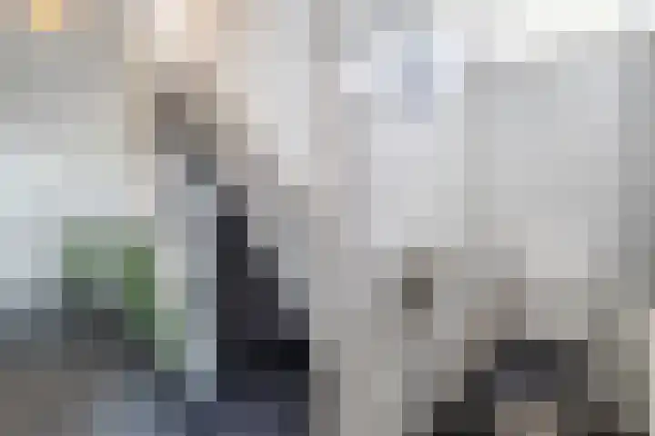 Laarweg 41 Velp thumbnail 18