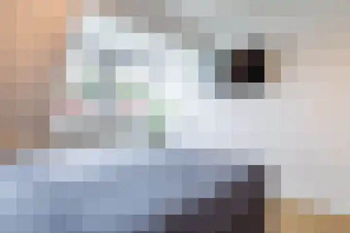 Laarweg 41 Velp thumbnail 23