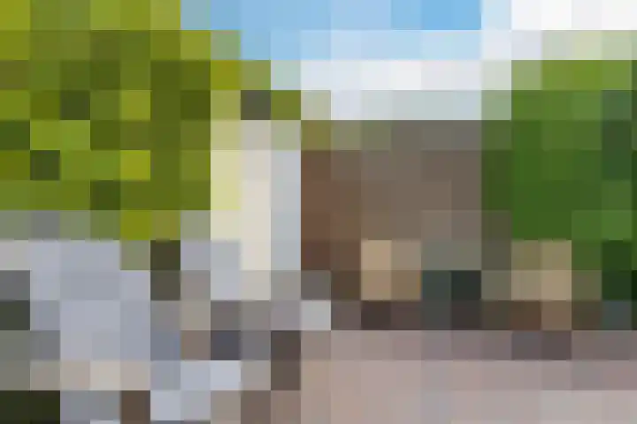 Laarweg 41 Velp thumbnail 36
