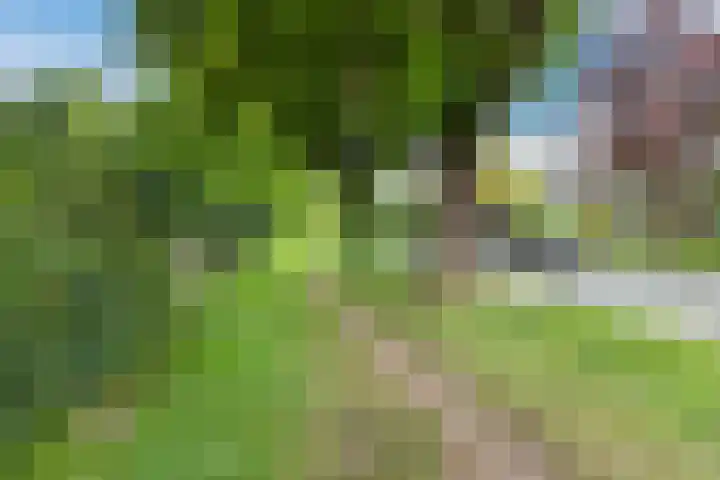 Laarweg 41 Velp thumbnail 39