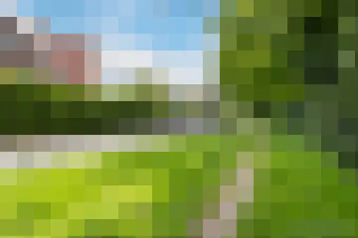Laarweg 41 Velp thumbnail 41
