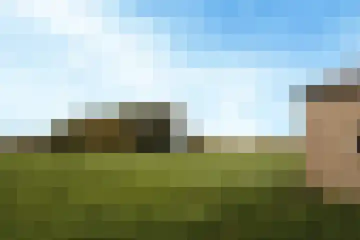 Laarweg 9 A Harskamp thumbnail 47