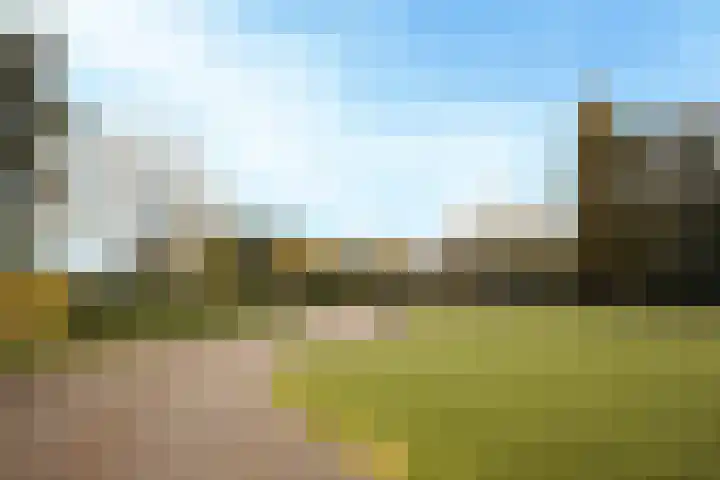 Laarweg 9 A Harskamp thumbnail 6
