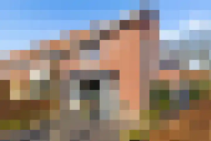 Laarwoud 3 Ede