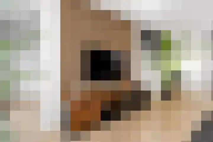 Laarwoud 3 Ede thumbnail 13