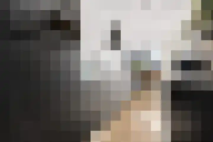 Laarwoud 3 Ede thumbnail 21