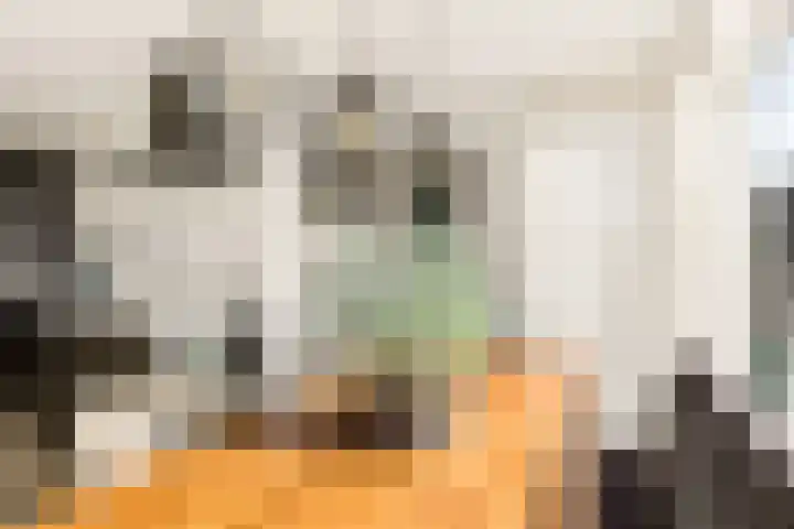 Laarwoud 3 Ede thumbnail 27