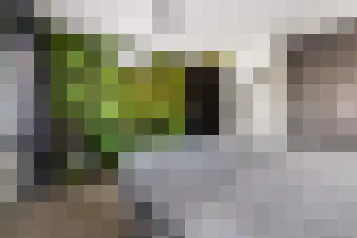 Laarwoud 3 Ede thumbnail 34