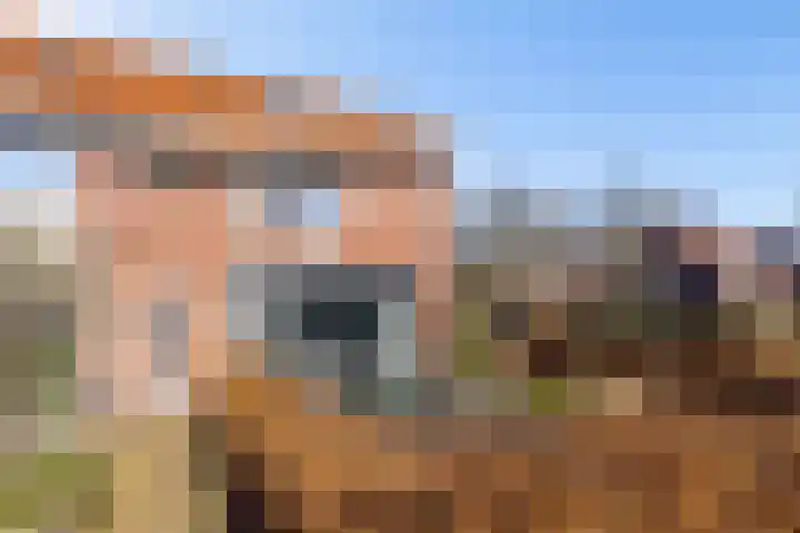 Laarwoud 3 Ede thumbnail 4