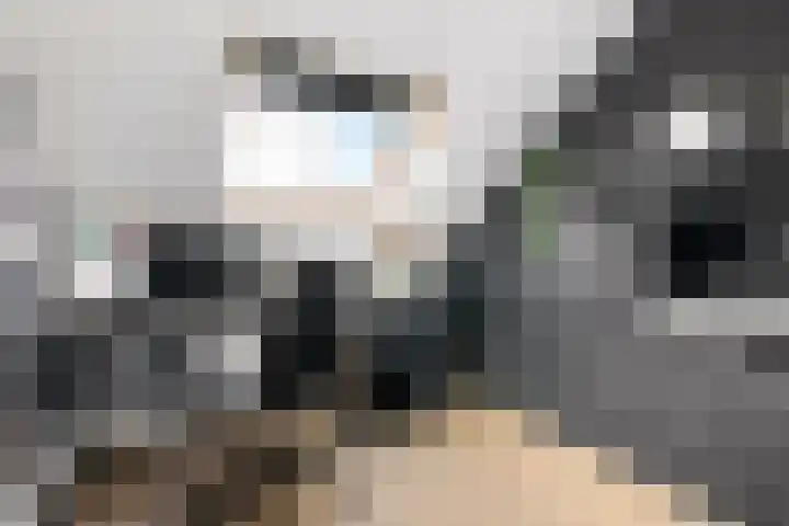 Laarwoud 3 Ede thumbnail 40