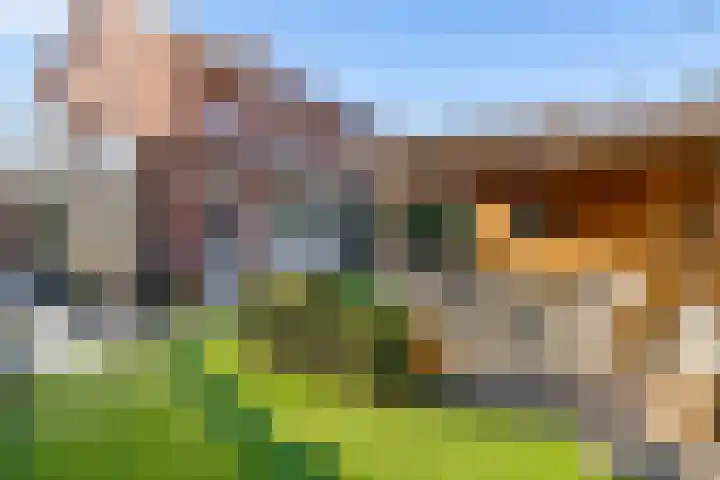 Laarwoud 3 Ede thumbnail 50