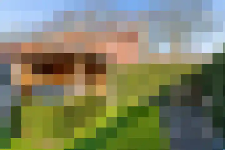 Laarwoud 3 Ede thumbnail 51