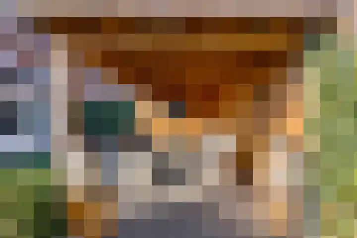 Laarwoud 3 Ede thumbnail 57