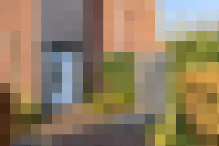 Laarwoud 3 Ede thumbnail 6