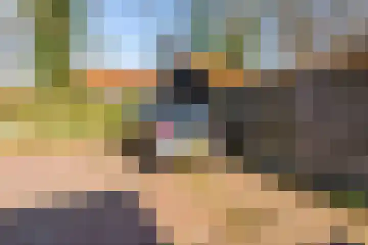 Laarwoud 3 Ede thumbnail 66