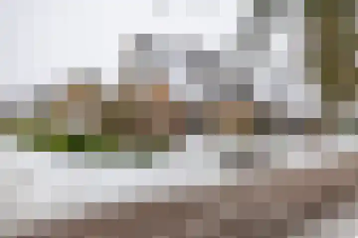 Laarwoud 31 in Norg