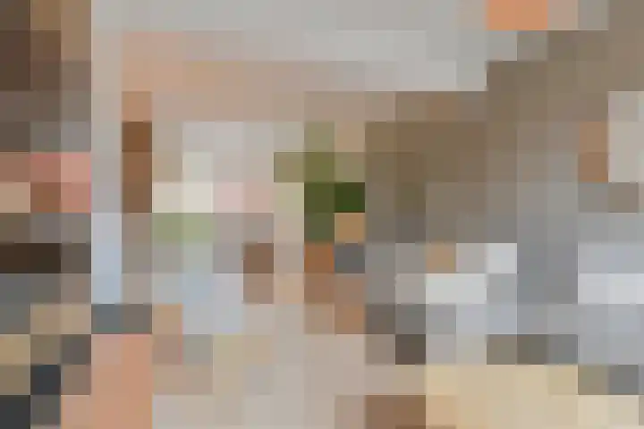 Laarwout 30 Emmen thumbnail 17