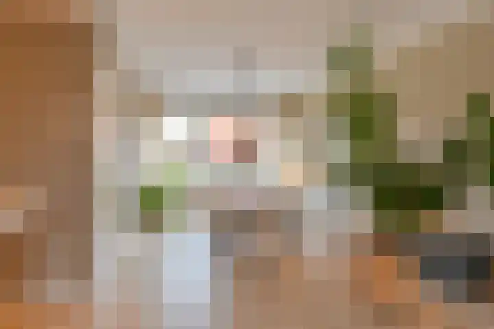Laarwout 30 Emmen thumbnail 18